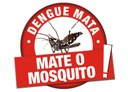 Câmara Municipal  na luta contra a Dengue